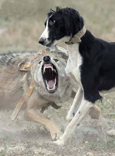 點擊瀏覽下一頁