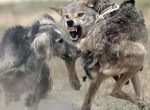 點擊瀏覽下一頁