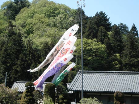 點(diǎn)擊瀏覽下一頁(yè)