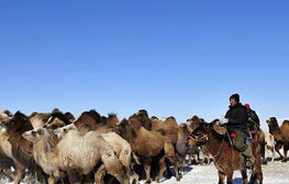 點擊瀏覽下一頁