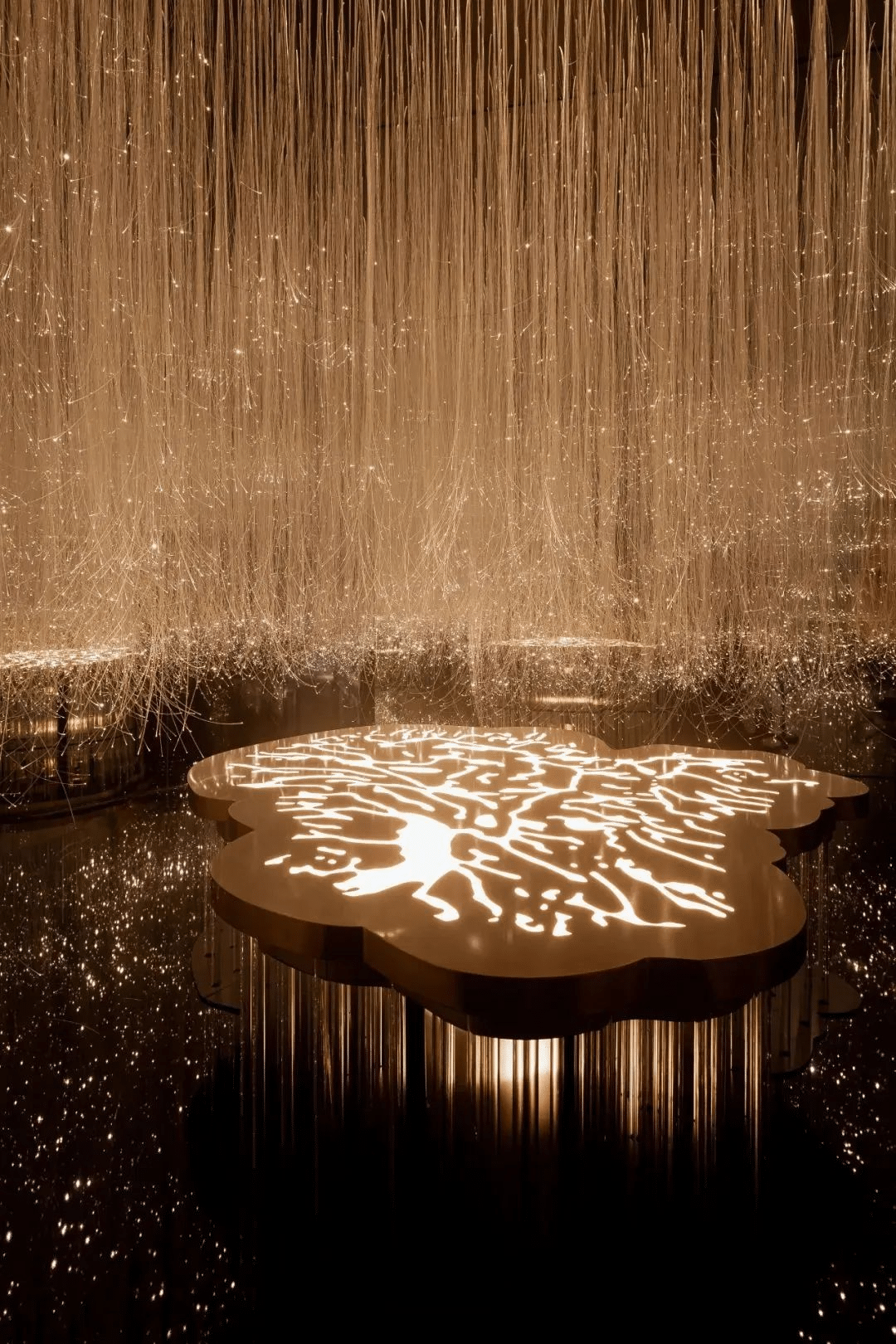 歐萊雅「金致松露系列·生息光影藝術展」