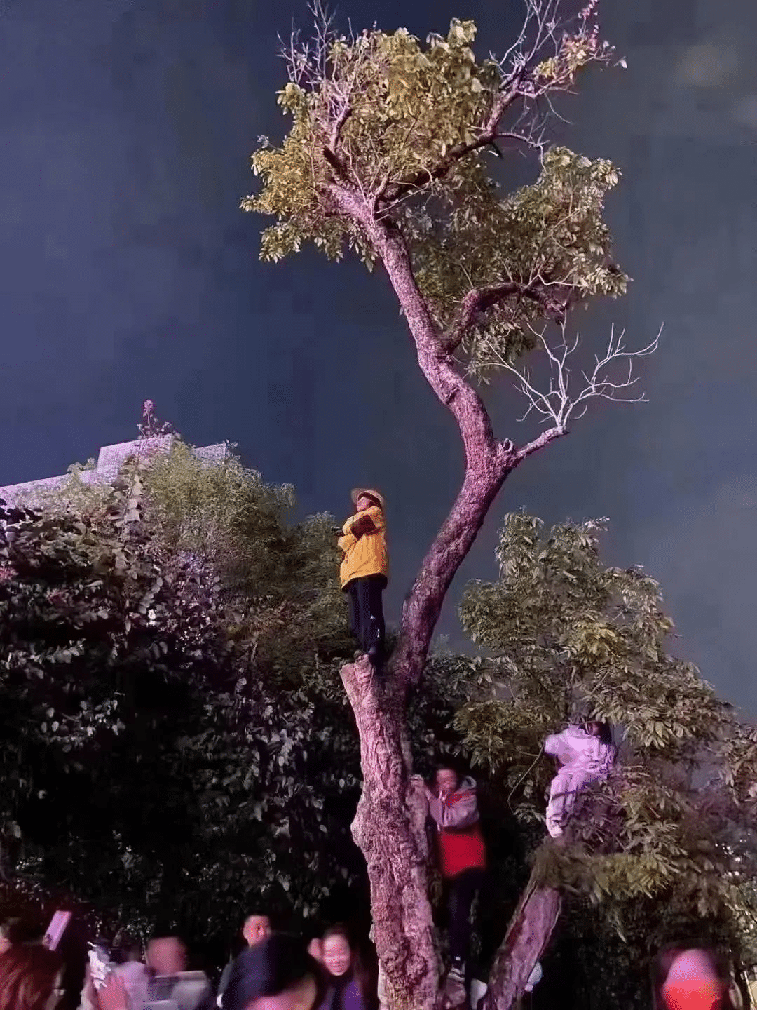 瀘州老窖·國(guó)窖1573“榮耀盛典” |營(yíng)銷新方法